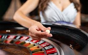Tim pengembang betslot88 mempersiapkan layanan taruhan dan hiburan online terbaik